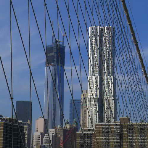 NYC_2012-11-18 11-31-49_P1070164